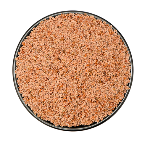 Dried Seeds