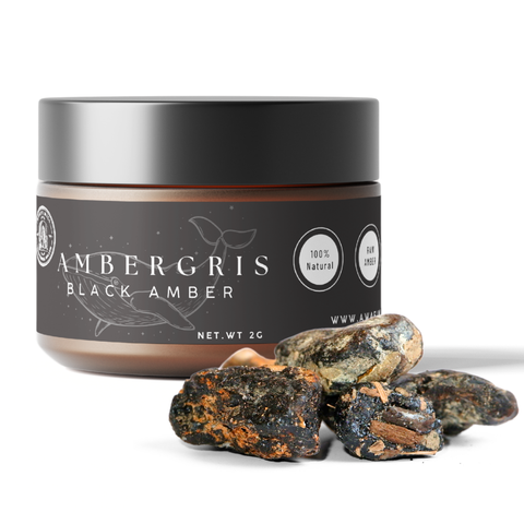 Natural Black Ambergris | Anbar Aswad | Raw Aromatic Material