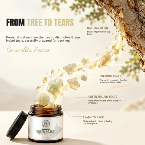 Omani Superior Green Hojari Frankincense | Edible Grade