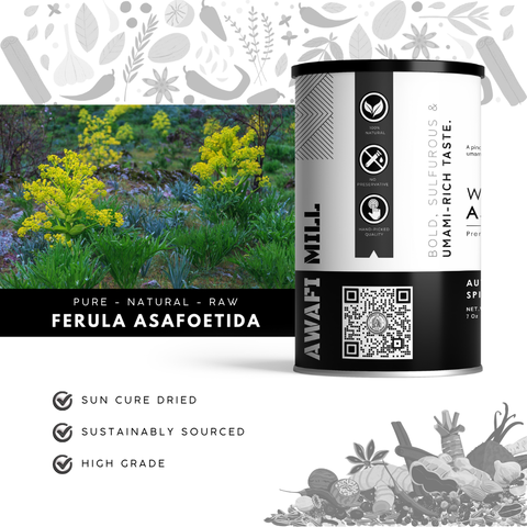 Asafoetida Resin Lumps | Hing | Ferula spp