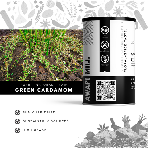 Green Cardamom | Choti Elaichi | Elettaria cardamomum