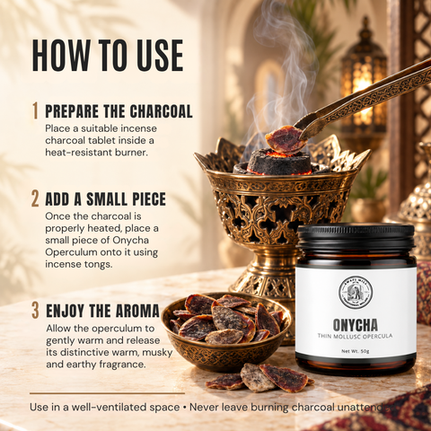 Onycha Operculum | Dhifra Marine Incense Material