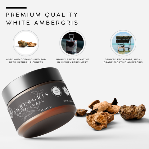 Natural White Ambergris | Anbar Abyad | Aged Aromatic Material