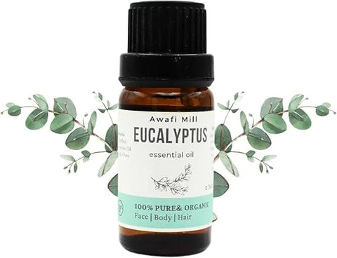 Eucalyptus Essential Oil | Eucalyptus globulus Leaf Oil
