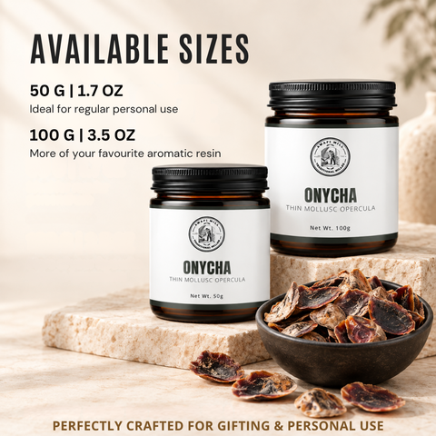 Onycha Operculum | Dhifra Marine Incense Material