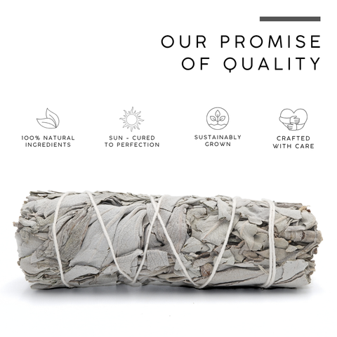 White Sage with Blue Sage Smudge Stick | Dual Sage Bundle