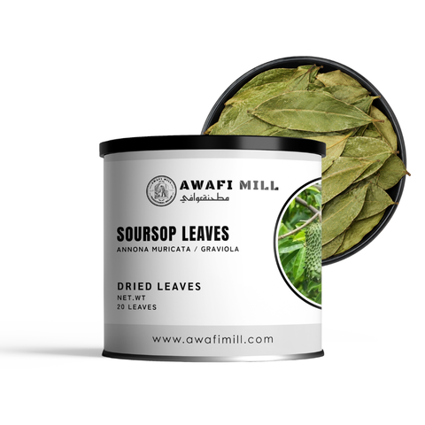 Soursop Leaves | Graviola | Guanabana | Annona muricata