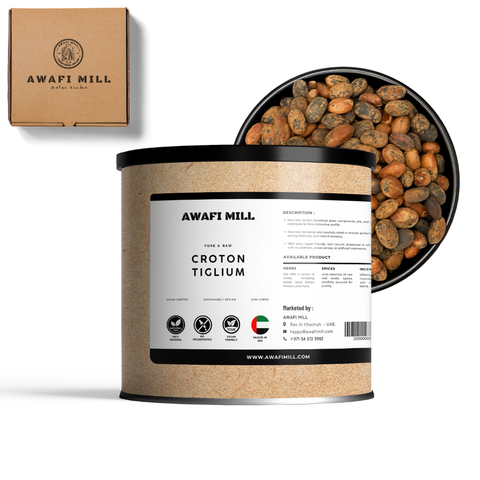 Croton Tiglium Seeds | Jamalghota Seeds