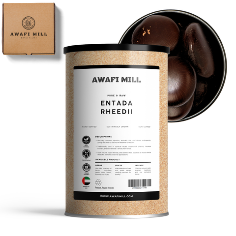 Entada Sea Bean (Snuff Box Sea Bean) – Entada rheedei