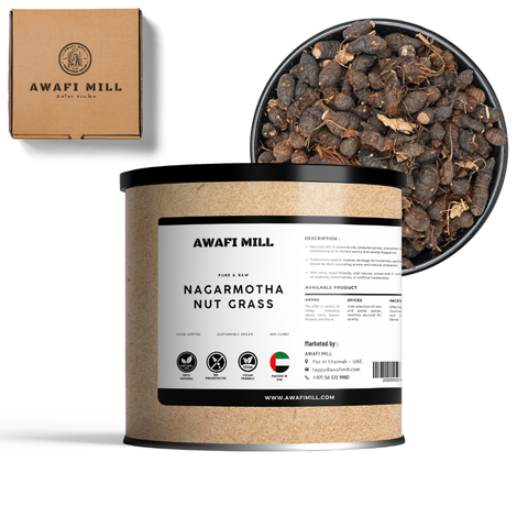 Nagarmotha Root | Cyperus Rotundus Herb