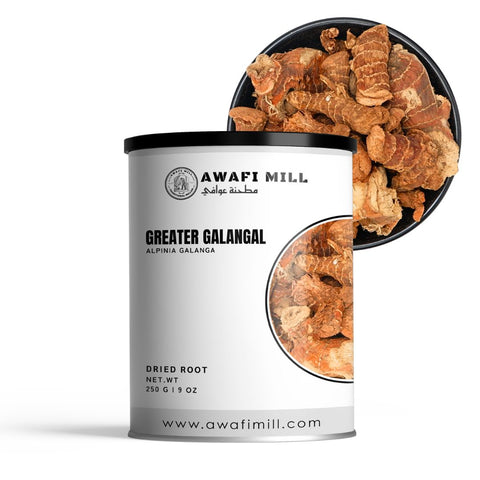 Greater Galangal - Alpinia Galanga