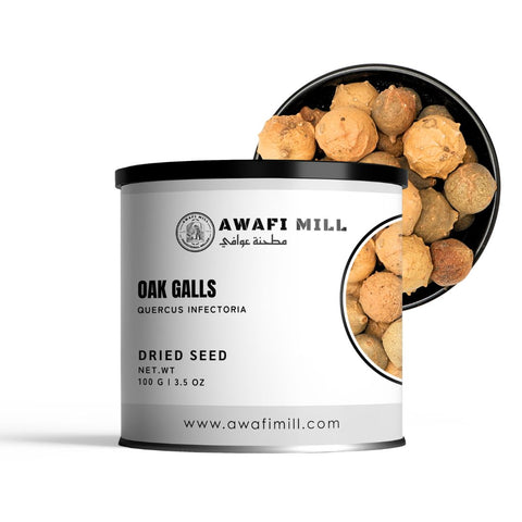 Oak Gall | Gall Wasps