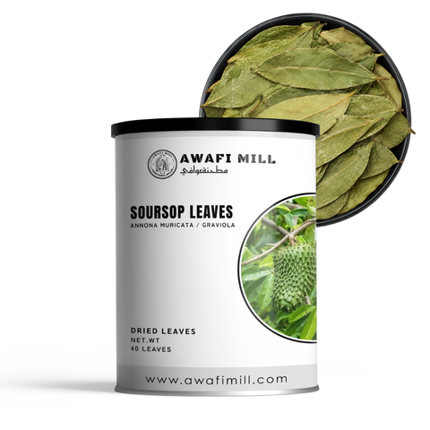 Soursop Leaves | Graviola | Guanabana | Annona muricata