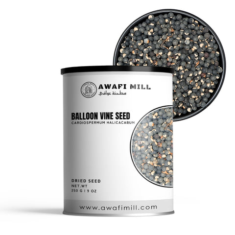 Balloon Vine Seeds (Heartseed) – Cardiospermum halicacabum