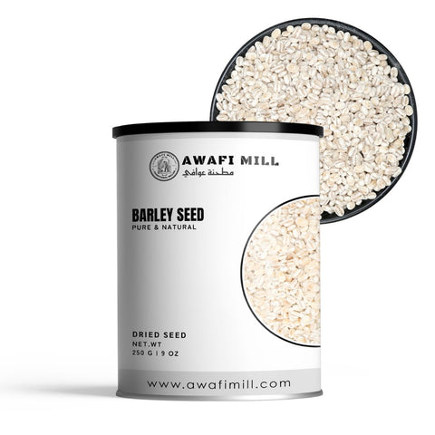 Barley (Jau) – Hordeum vulgare