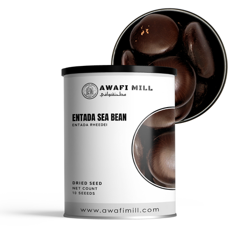 Entada Seeds | Whole Sea Bean | Dream Bean | Entada rheedei