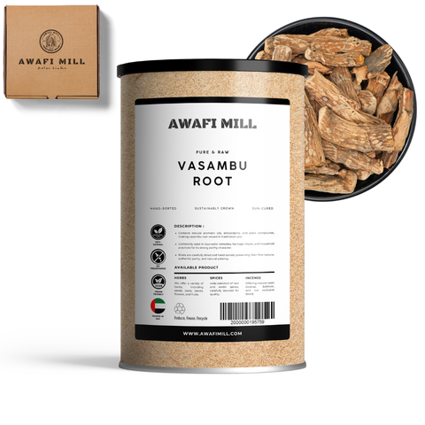 Sweet Flag Root (Vacha / Calamus) - Acorus Calamus