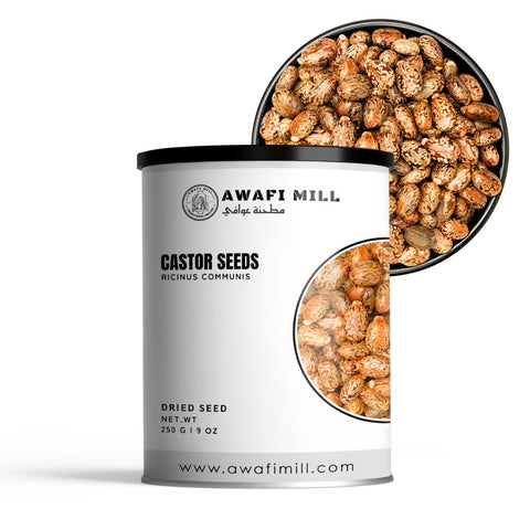 Castor Seeds (Erand / Arandi) – Ricinus communis