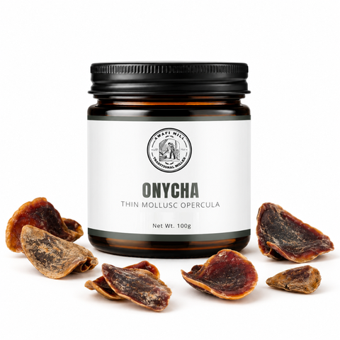 Onycha Operculum | Dhifra Marine Incense Material
