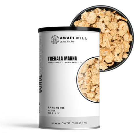 Trehala Manna (Shakar Teghal) - Larinus Maculatus