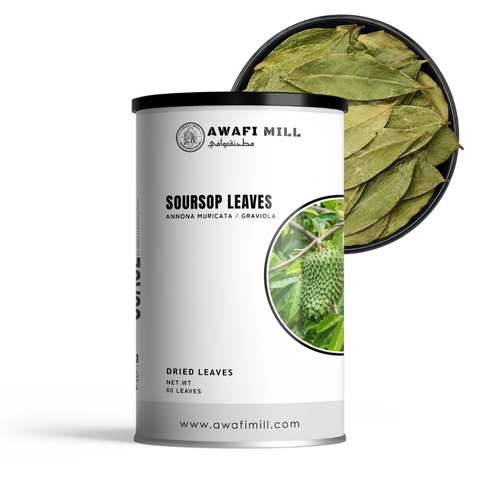 Soursop Leaves | Graviola | Guanabana | Annona muricata