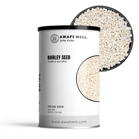 Barley (Jau) – Hordeum vulgare