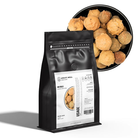 Oak Gall | Gall Wasps