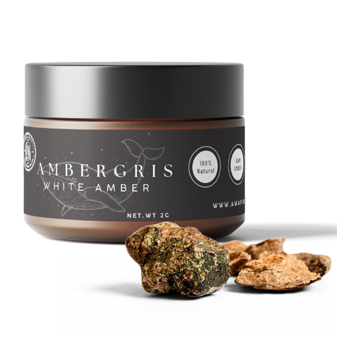 Ambergris - White Amber | Rare Perfume Ingredient