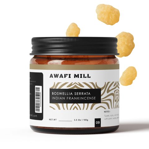 Boswellia Serrata | Indian Frankincense