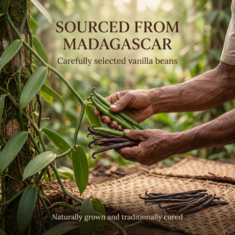 Madagascar Vanilla Beans | Bourbon Vanilla |  Vanilla planifolia