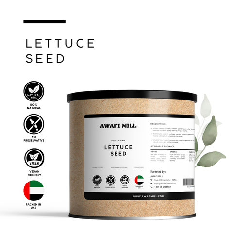 Lettuce Seeds (Tukhm-e-Kahu) – Lactuca sativa