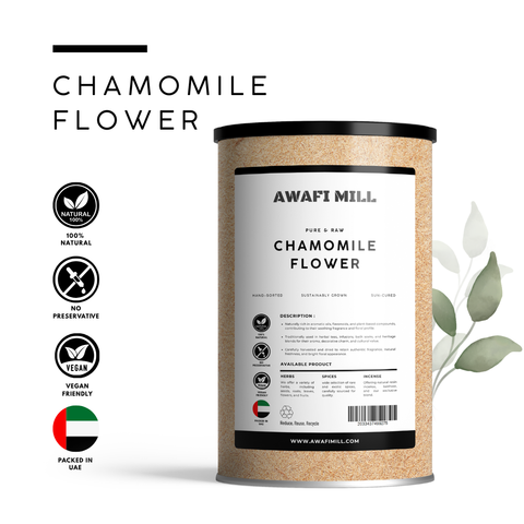 Chamomile Flower | Chamaemelum Nobile