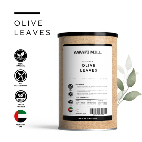 Olive Leaves | Olea Europaea