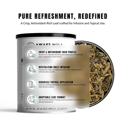 Green Tea Leaves - Camellia Sinensis