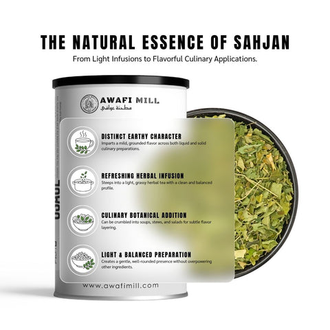 Moringa Leaves (Sahjan Leaves) - Moringa Oleifera