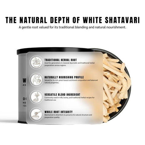 White Shatavari (Satavar) - Asparagus Racemosus