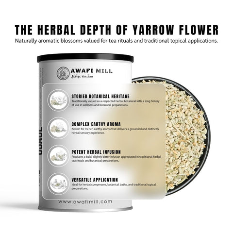 Yarrow Flower (Milfoil) - Achillea Millefolium