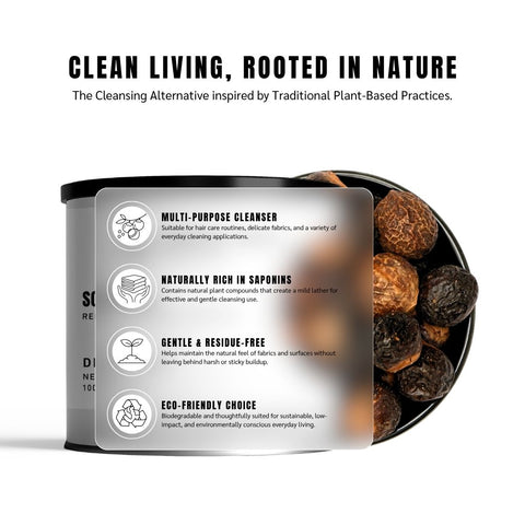 Soap Nuts (Reetha / Aritha / Washnut) – Sapindus mukorossi