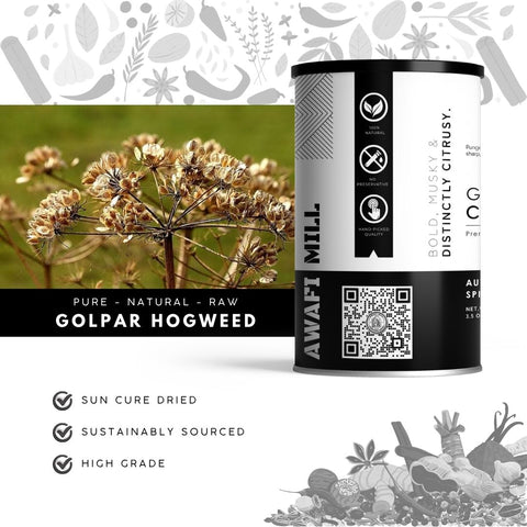 Golpar |  Persian Hogweed Fruits |  Heracleum persicum