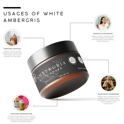Ambergris - White Amber | Rare Perfume Ingredient