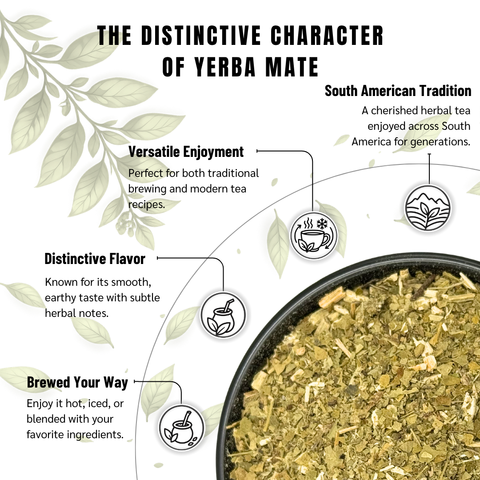 Yerba Mate | Con Palo | Argentine Mate | Ilex paraguariensis
