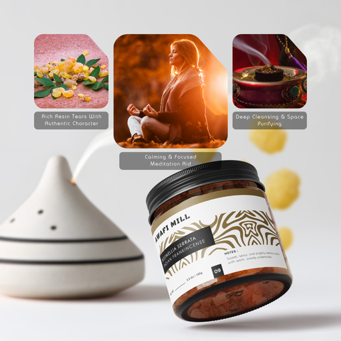 Boswellia Serrata | Indian Frankincense