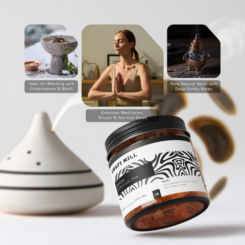 Onycha (Operculum) - Natural Incense Fixative | Premium Raw Aromatic Seashell Operculum