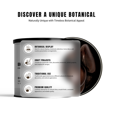 Entada Seeds | Whole Sea Bean | Dream Bean | Entada rheedei
