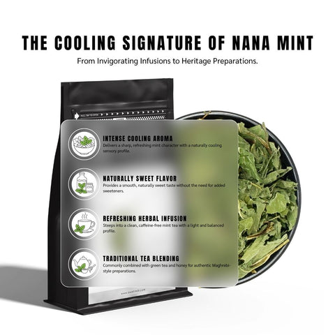 Mint Leaves (Nana) - Mentha Spicata
