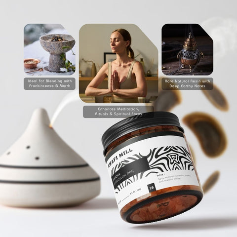 Onycha (Operculum) - Natural Incense Fixative | Premium Raw Aromatic Seashell Operculum