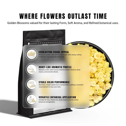 Helichrysum Flower | Helichrysum Italicum
