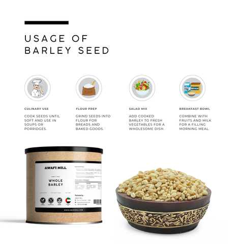 Barley (Jau) – Hordeum vulgare