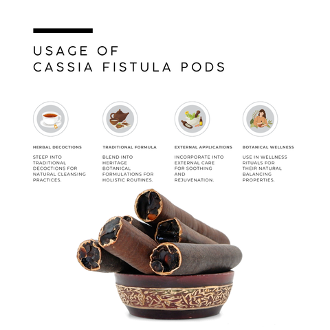 Cassia Fistula Pods (Amaltas) – Cassia fistula