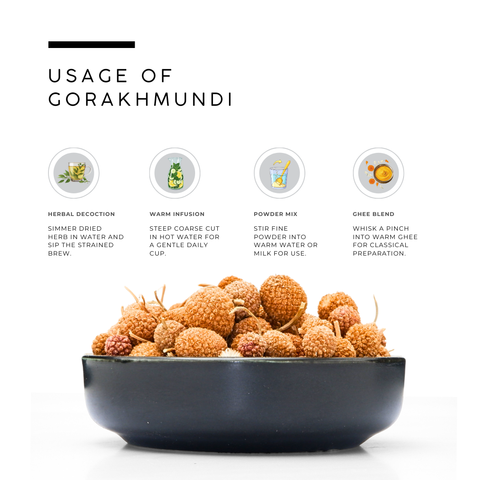 Gorakhmundi (East Indian Globe Thistle) - Sphaeranthus Indicus
